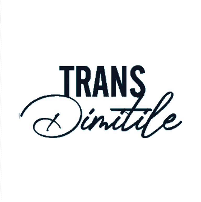 Affiche Trans-Dimitile 2026